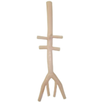 Veins of the Neck, Torso, and Abdomen