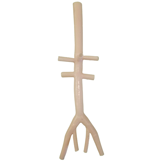 Synthetic abdominal aorta model with iliac and visceral branches